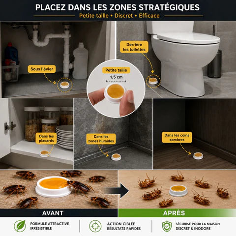 Station d'appât en gel Quickatch™_ Anti-insectes et Cafard